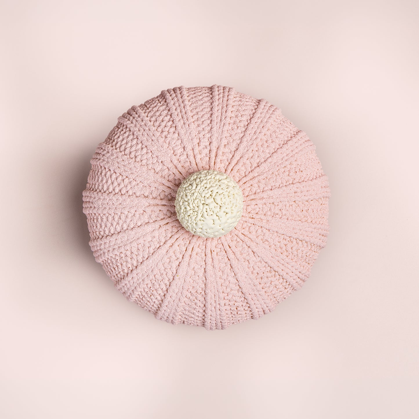 Beanie Cake