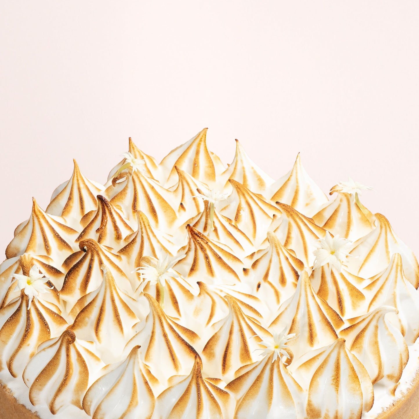 Lemon Meringue Tart (NF)